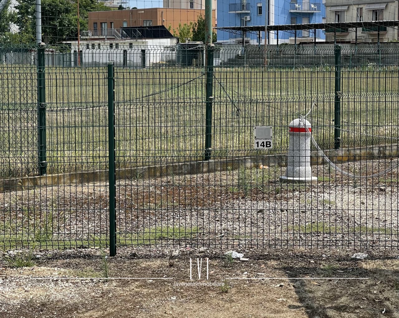 004  Img 7431 Wmk 0.jpg